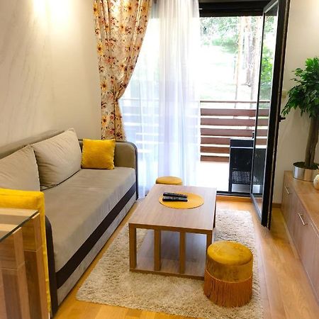 S23 Green 兹拉蒂博尔 外观 照片